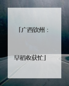 广西钦州：早稻收获忙