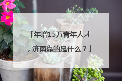 年增15万青年人才，济南靠的是什么？