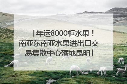 年运8000柜水果！南亚东南亚水果进出口交易集散中心落地昆明