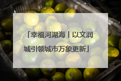 幸福河湖海丨以文润城引领城市万象更新