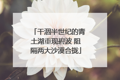干涸半世纪的青土湖重现碧波 阻隔两大沙漠合拢