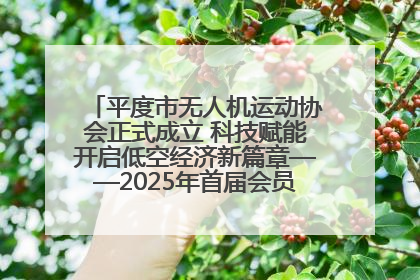 平度市无人机运动协会正式成立 科技赋能开启低空经济新篇章——2025年首届会员大会暨无人机应用发展论坛成功举办