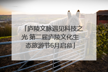 庐陵文脉遇见科技之光 第二届庐陵文化生态旅游节6月启幕
