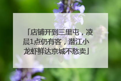店铺开到三里屯，凌晨1点仍有客，潜江小龙虾鲜达京城不愁卖