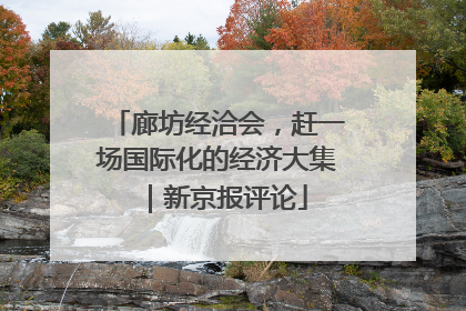 廊坊经洽会，赶一场国际化的经济大集｜新京报评论