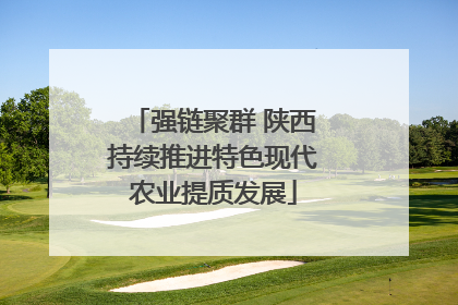 强链聚群 陕西持续推进特色现代农业提质发展
