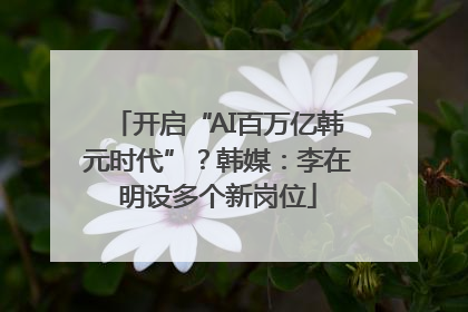 开启“AI百万亿韩元时代”？韩媒：李在明设多个新岗位