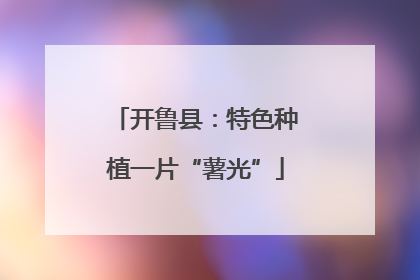 开鲁县：特色种植一片“薯光”