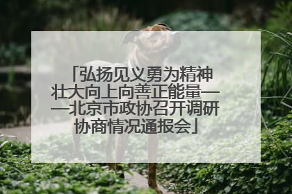 弘扬见义勇为精神 壮大向上向善正能量——北京市政协召开调研协商情况通报会