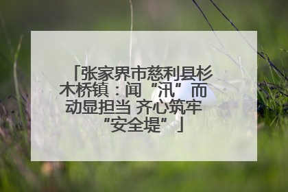 张家界市慈利县杉木桥镇：闻“汛”而动显担当 齐心筑牢“安全堤”