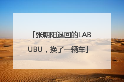 张朝阳退回的LABUBU，换了一辆车