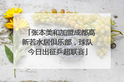 张本美和加盟成都高新若水居俱乐部，球队今日出征乒超联赛