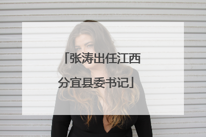 张涛出任江西分宜县委书记