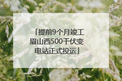 提前9个月竣工 眉山西500千伏变电站正式投运