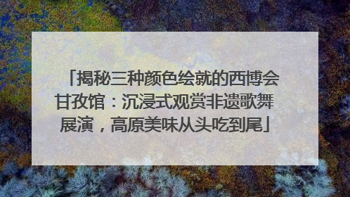 揭秘三种颜色绘就的西博会甘孜馆：沉浸式观赏非遗歌舞展演，高原美味从头吃到尾