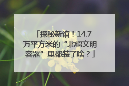 探秘新馆！14.7万平方米的“北疆文明容器”里都装了啥？