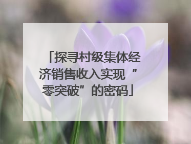 探寻村级集体经济销售收入实现“零突破”的密码