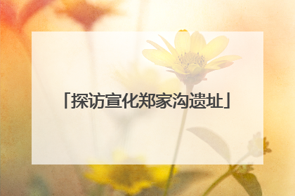 探访宣化郑家沟遗址