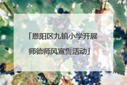 恩阳区九镇小学开展师德师风宣誓活动