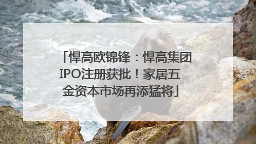 悍高欧锦锋：悍高集团IPO注册获批！家居五金资本市场再添猛将