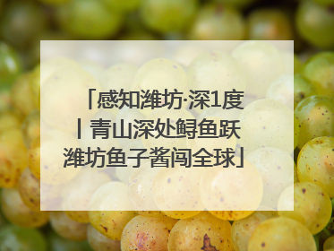感知潍坊·深1度丨青山深处鲟鱼跃 潍坊鱼子酱闯全球