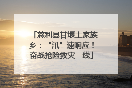 慈利县甘堰土家族乡：“汛”速响应！奋战抢险救灾一线