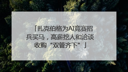 扎克伯格为AI竞赛招兵买马，高薪挖人和洽谈收购“双管齐下”