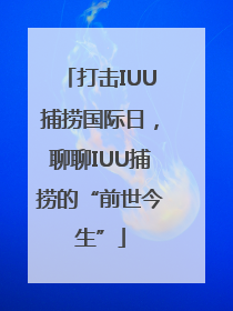 打击IUU捕捞国际日，聊聊IUU捕捞的“前世今生”