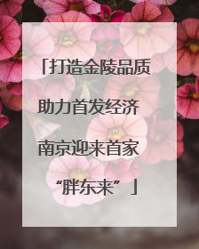 打造金陵品质 助力首发经济 南京迎来首家“胖东来”
