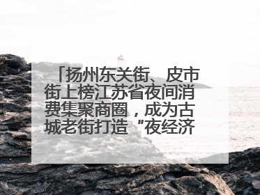 扬州东关街、皮市街上榜江苏省夜间消费集聚商圈，成为古城老街打造“夜经济”的样本