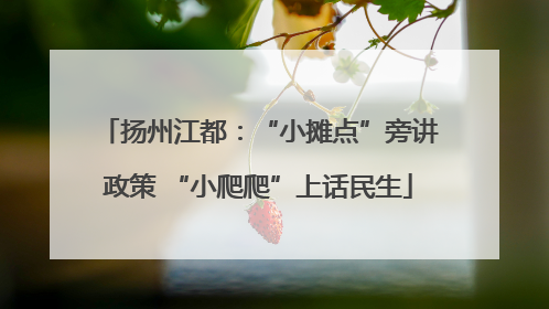 扬州江都：“小摊点”旁讲政策 “小爬爬”上话民生