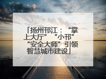 扬州邗江：“掌上大厅”“小邗”“安全大师”引领智慧城市建设