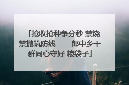 抢收抢种争分秒 禁烧禁抛筑防线——郎中乡干群同心守好 粮袋子