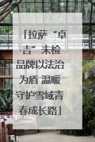 拉萨“卓·吉”未检品牌以法治为盾 温暖守护雪域青春成长路