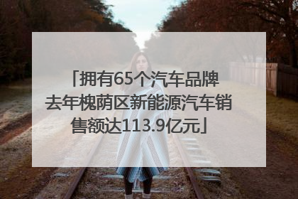 拥有65个汽车品牌 去年槐荫区新能源汽车销售额达113.9亿元