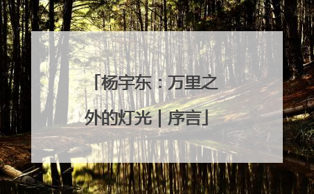 杨宇东：万里之外的灯光｜序言