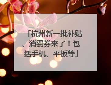杭州新一批补贴、消费券来了！包括手机、平板等