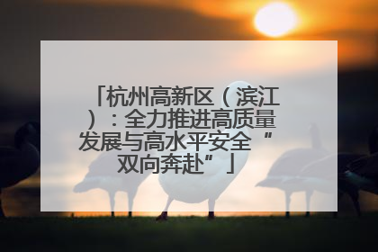 杭州高新区（滨江）：全力推进高质量发展与高水平安全“双向奔赴”