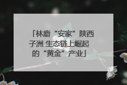 林麝“安家”陕西子洲 生态链上崛起的“黄金”产业