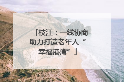 枝江：一线协商助力打造老年人“幸福港湾”