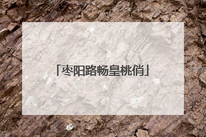 枣阳路畅皇桃俏