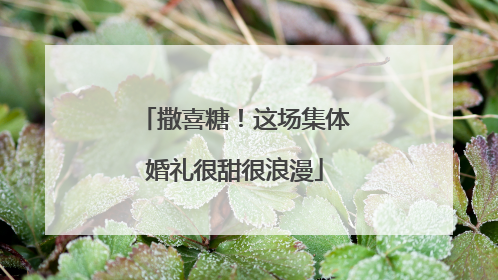 撒喜糖！这场集体婚礼很甜很浪漫