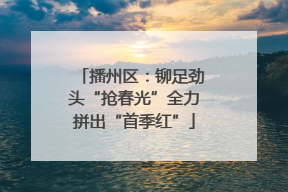 播州区：铆足劲头“抢春光”全力拼出“首季红”