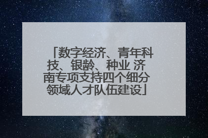 数字经济、青年科技、银龄、种业 济南专项支持四个细分领域人才队伍建设