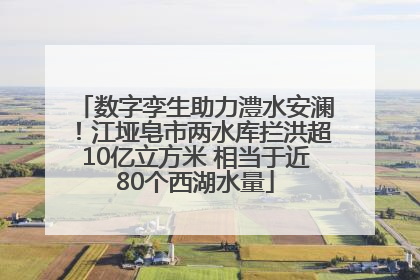 数字孪生助力澧水安澜！江垭皂市两水库拦洪超10亿立方米 相当于近80个西湖水量