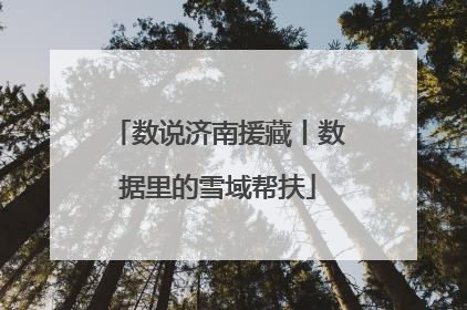 数说济南援藏丨数据里的雪域帮扶