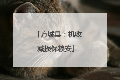 方城县：机收减损保粮安