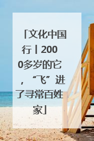 文化中国行丨2000多岁的它，“飞”进了寻常百姓家
