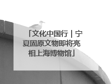 文化中国行｜宁夏固原文物即将亮相上海博物馆