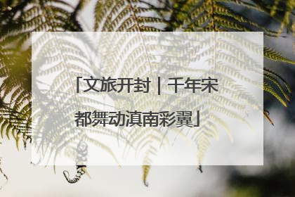 文旅开封｜千年宋都舞动滇南彩翼